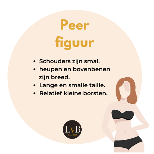 figuurtype-peer-lingerie-advies-van-bokhoven-helmond figuurtype-peer-lingerie-advies-van-bokhoven-helmond