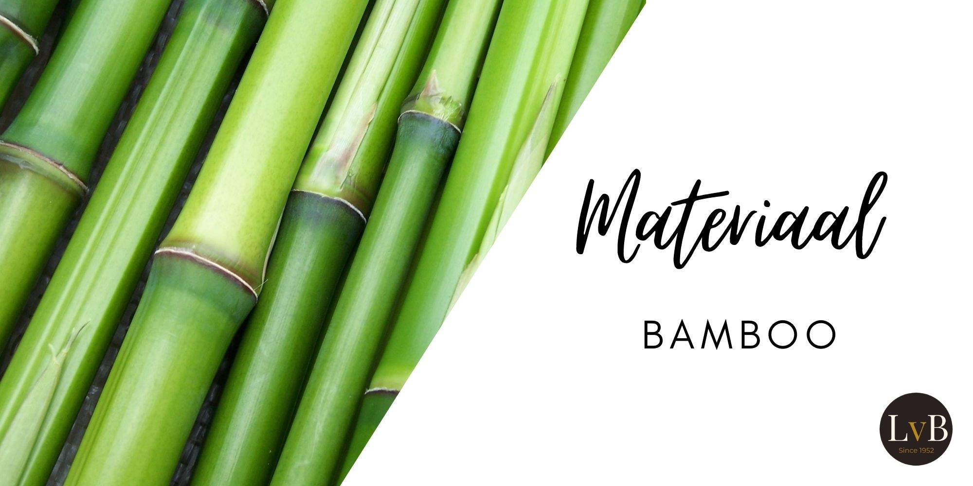 bamboo ondergoed